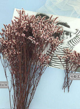 永生花水晶草情人草diy天然花束