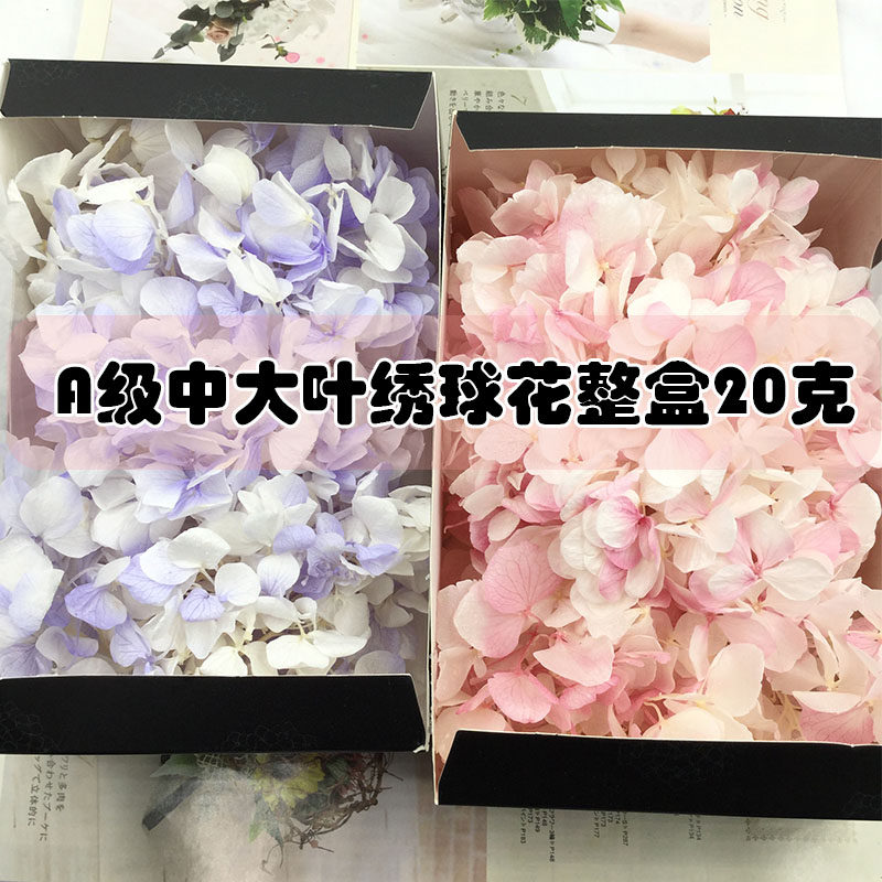 情人节永生花A级中大叶绣球花diy暴力熊材料包玻璃罩礼盒钥匙车挂
