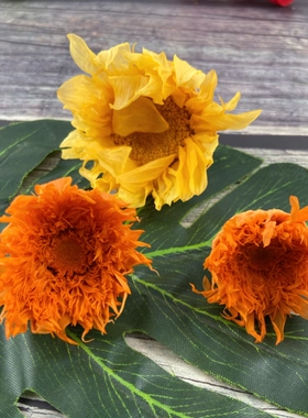 毕业季永生花泰迪向日葵油太阳花