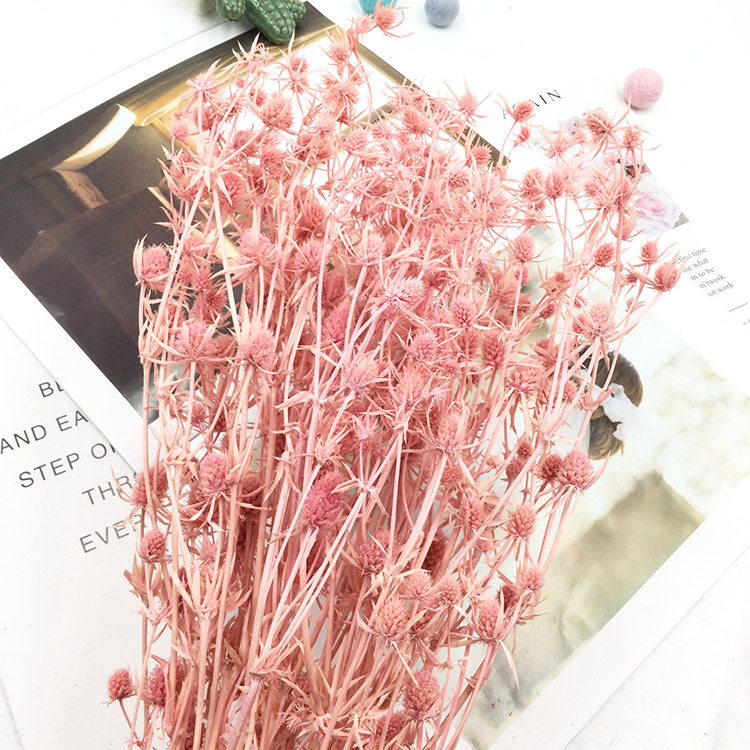 永生花小刺芹情人果玻璃罩diy新年摆台材料包婚礼花材ins北欧插花,淘宝优惠券,粉丝福利购,淘宝优惠卷