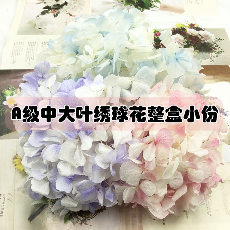 情人节永生花A级中大叶绣球花diy暴力熊材料包玻璃罩礼盒钥匙车挂