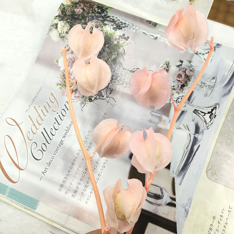 永生花diy情人节材料包灯笼果ins保鲜玫瑰风铃果玻璃罩礼金花盒