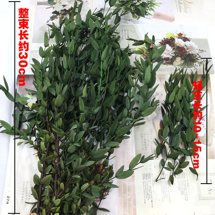 情人节永生花diy手腕花配叶美叶桉尖尤加利竹叶手工制作玻璃罩礼