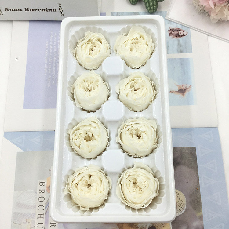 情人节永生花A级4-5cm盒装奥斯汀保鲜玫瑰diy玻璃罩现金礼盒胸花