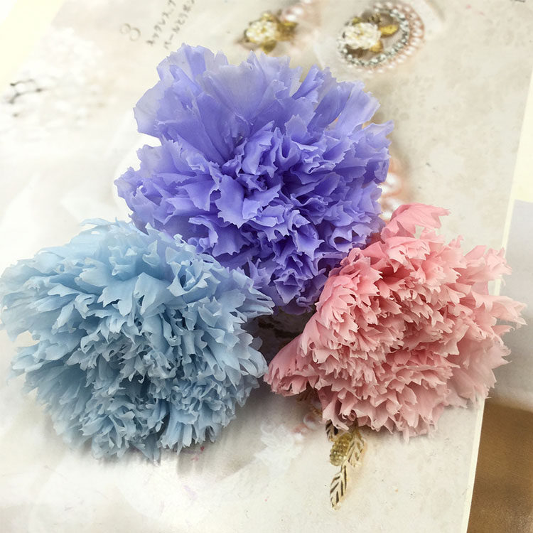 永生花康乃馨4-5-6cm情人节母亲节diy礼物礼盒车挂相框玻璃罩玫瑰