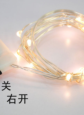 永生花diy钻石车挂空气凤梨花器