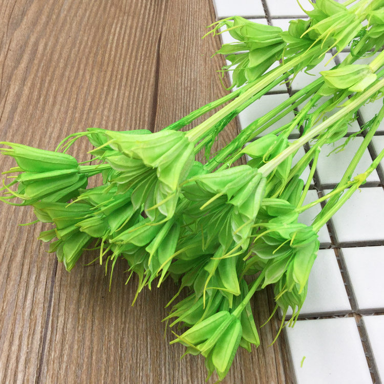 永生花八角花文心兰多色拼接紫罗兰干花保鲜花情人节礼盒DIY手工