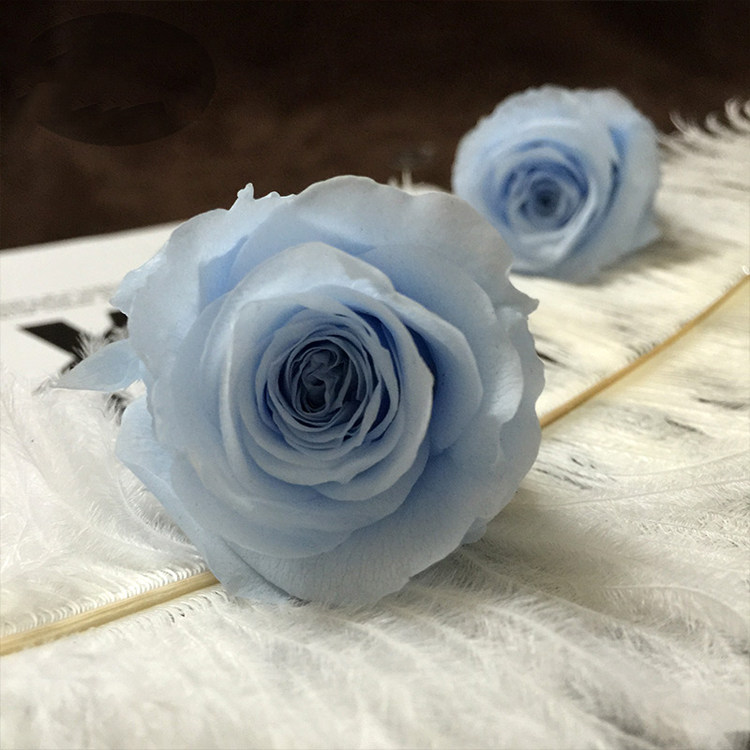 情人节永生花A级3-4cm保鲜白色玫瑰花婚礼告白礼物diy钥匙扣车挂