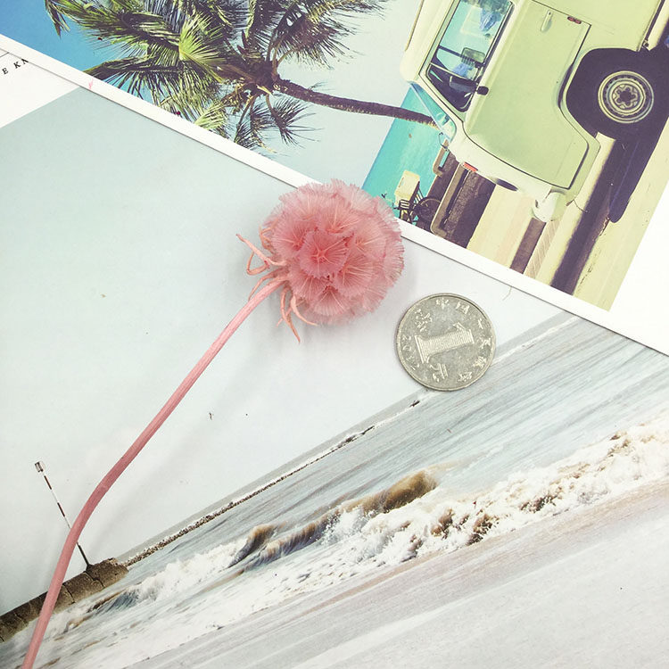 永生花松虫果风车果diy情人节新年花束材料手工车载礼盒配花材