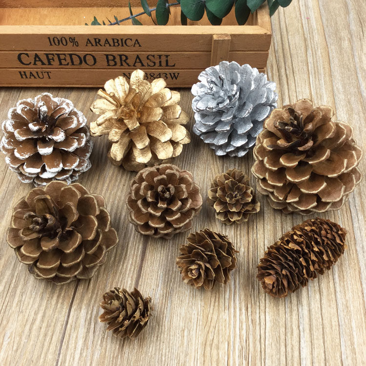 情人节永生花材松果小南瓜橙子肉桂皮干果实金银松果莲蓬礼盒配材