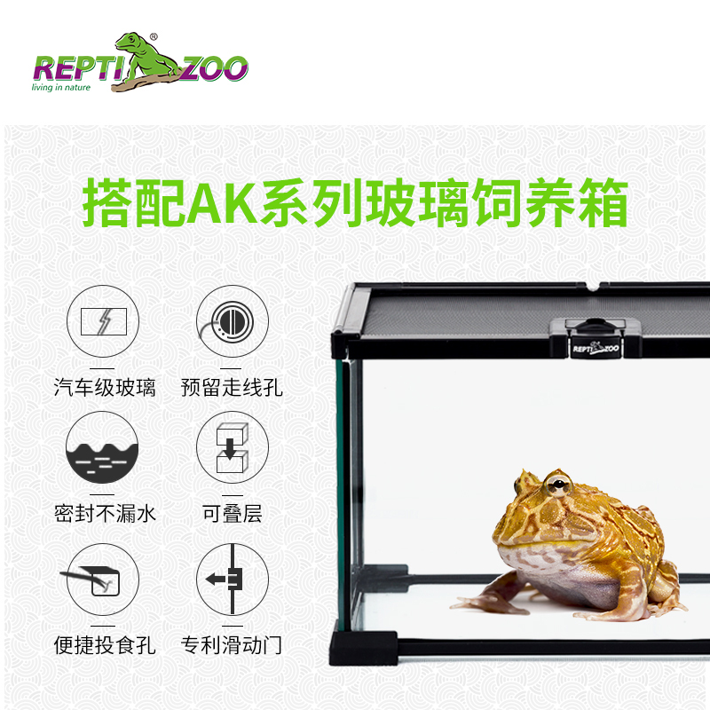 新派宠物reptizoo角蛙饲养箱造景套装黄金角蛙爬宠玻璃饲养缸套餐 - 图0