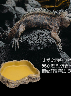 新派宠物REPTIZOO爬宠水盆食盆