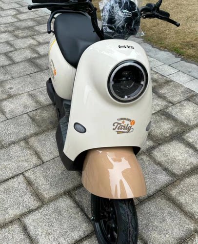 台铃萌苏EB菲萌EB电动车外壳原厂配件前围前泥板工具箱加长侧板 - 图0