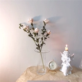 * Красивая маленькая тетя* Инс Ханфенг Плака