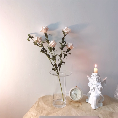 * Красивая маленькая тетя* Инс Ханфенг Плака