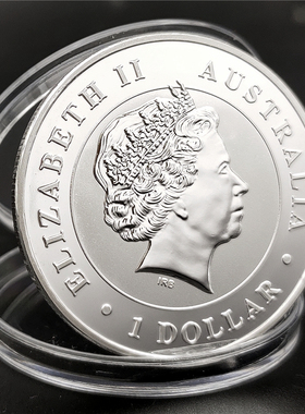 澳大利亚树袋熊考拉硬币纪念品