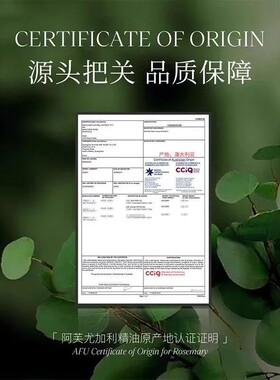 无包装产品 阿芙尤加利精油10ml 清洁毛孔净化空气单方香薰精油
