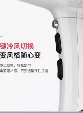 风大师5100型吹风机负离子大功率发廊大风力专用理发店家用电吹风