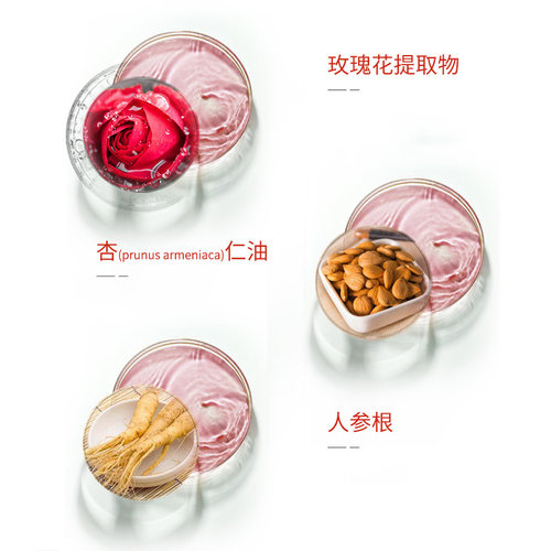 安吉希可儿知泉保湿水乳100ml活泉升级提拉补水ANS官方正品 - 图1