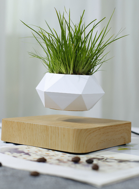 ins日式风磁悬浮花盆桌面摆件