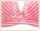 Yilanfen striped lace girls underwear 2 pieces