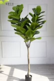 Nordic High -Simulation Bonsai Plant Plant Artificial Floweant Piano Leaf Banyan с декоративной кустарником приземления INS