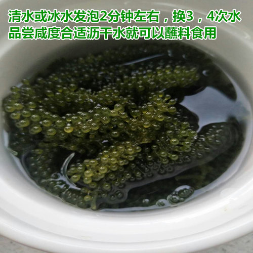 新鲜海葡萄即食长寿菜海藻菜寿司绿色鱼子酱100g - 图0