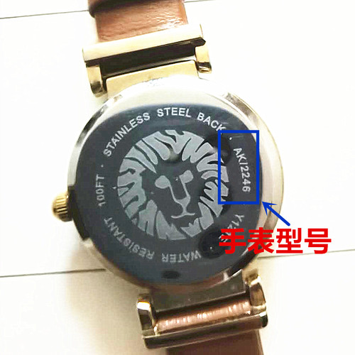 适用于AK ANNE KLEIN安妮克莱恩手表电池电子Y121E AK1470 AK2238 - 图0