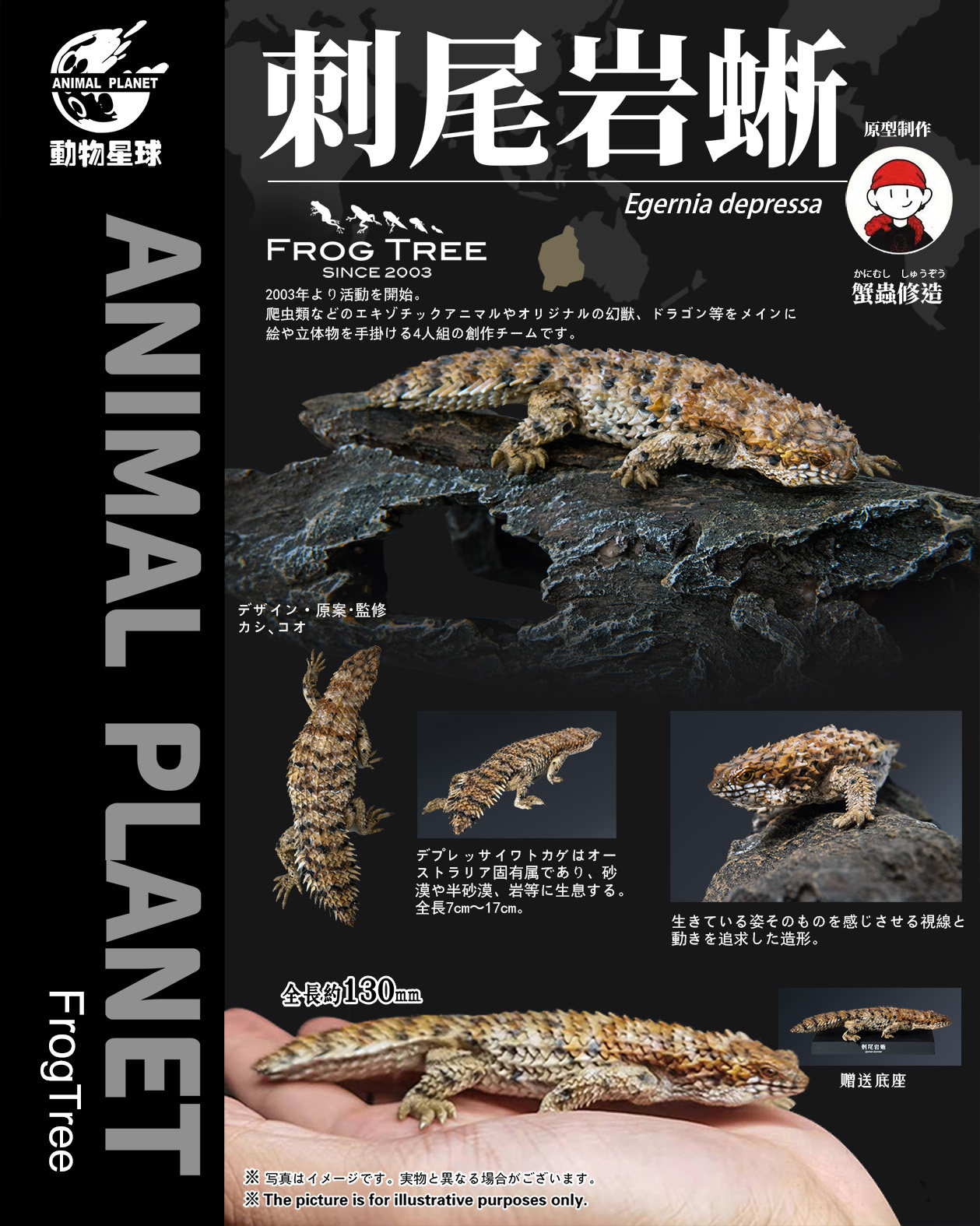 动物蜥 新人首单立减十元 22年10月 淘宝海外 动物蜥 新人首单立减十元 22年10月 淘宝海外