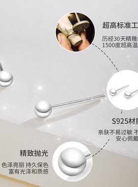 摩天轮S925纯银养耳耳钉女简约精致高级感不掉色小众设计银针饰品
