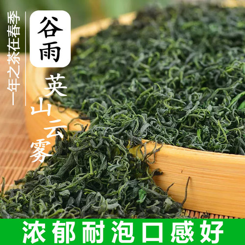 绿茶2026新茶英山云雾茶日照足绿茶高山茶谷雨茶浓香耐泡散装500g - 图3