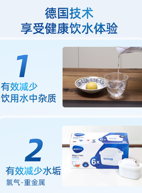 碧然德去水垢氯气专家版6只滤芯
