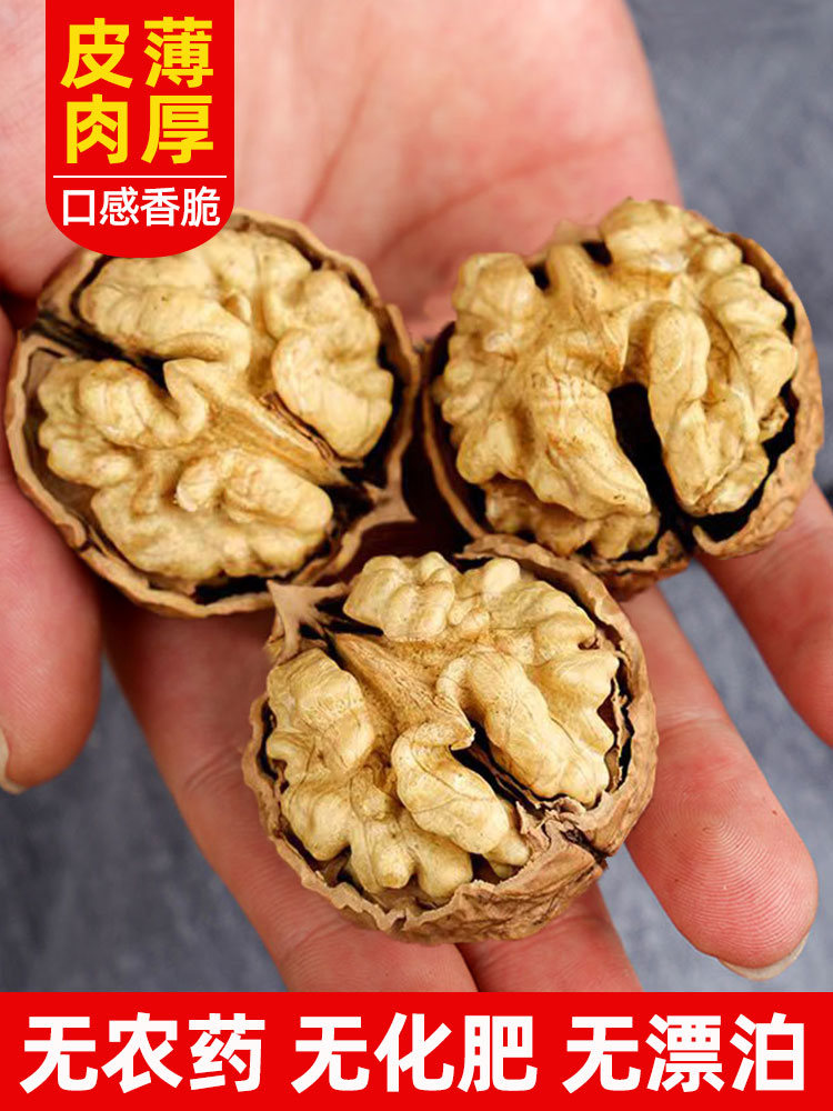 新疆185纸皮核桃2023新货每日坚果阿克苏薄皮大颗干果手捏原味袋 - 图0