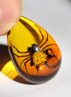 昆虫标本节日项链儿童礼物礼品