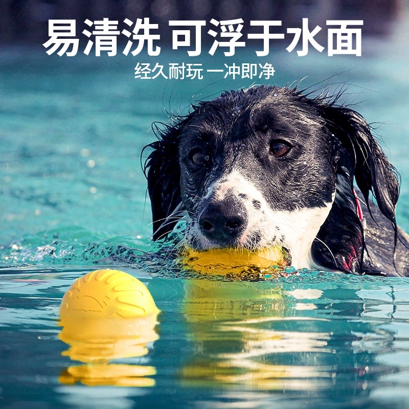 狗狗玩具大型犬圆环飞盘边牧发声拉力环磨牙耐咬解闷神器宠物玩具