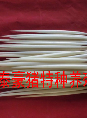 养殖纯白鱼漂茶针发簪