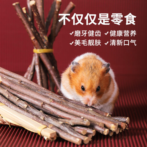 仓鼠磨牙苹果枝磨牙棒苹果木磨牙神器健齿玩具造景金丝熊兔子龙猫 - 图1