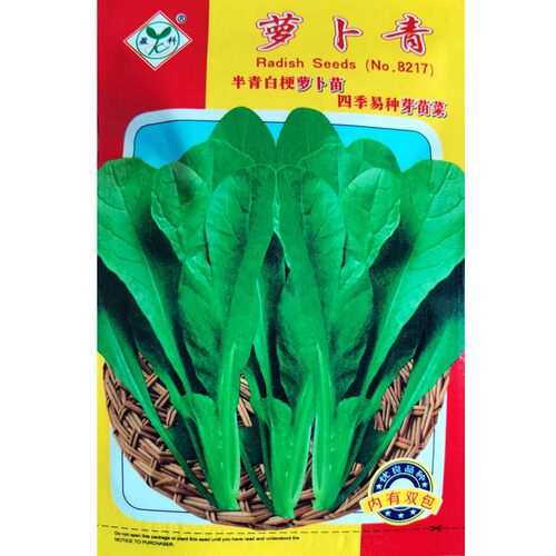 萝卜菜种子 萝卜青半青白梗萝卜苗四季易种芽苗菜生长快口感鲜嫩 - 图0