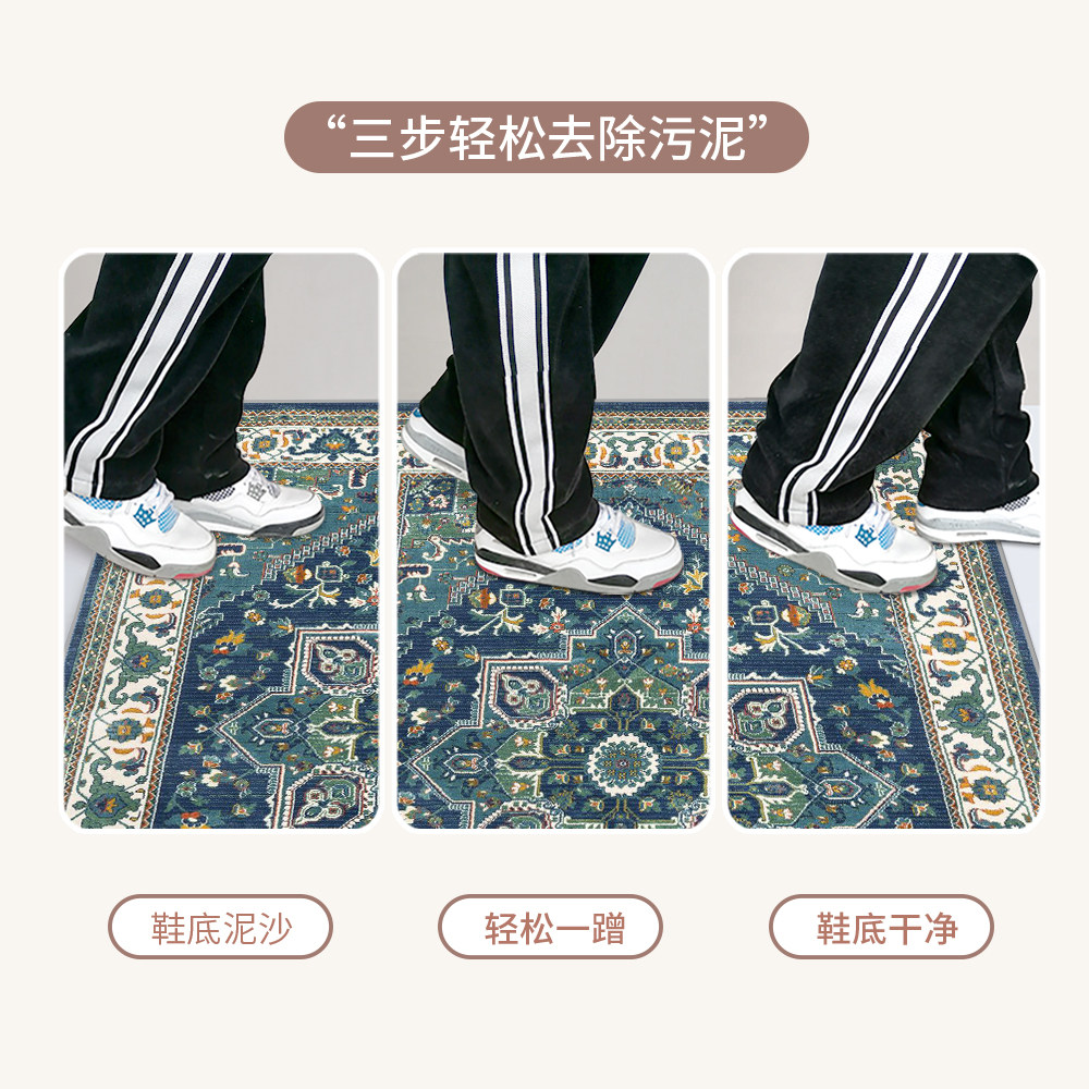 Indoor and outdoor carpet door mats that are stain-resistant and dirt-resistant, dust-removing Persian simple style door mats