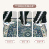 Indoor and outdoor carpet door mats that are stain-resistant and dirt-resistant, dust-removing Persian simple style door mats
