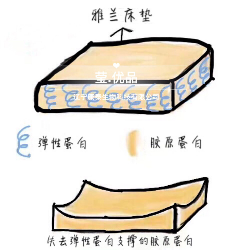 莹优品弹性蛋白肽粉正品弹力蛋白非胶原蛋白口服液小分子肽双蛋白 - 图1