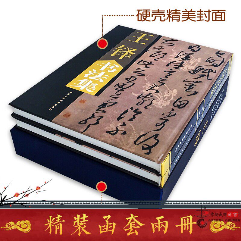 王铎书法集 正版全2册16开精装铜版纸彩印附释文 王铎书法作品集字帖行书帖草书帖 五律诗七律诗 王铎书法大全 中国书画名家全集