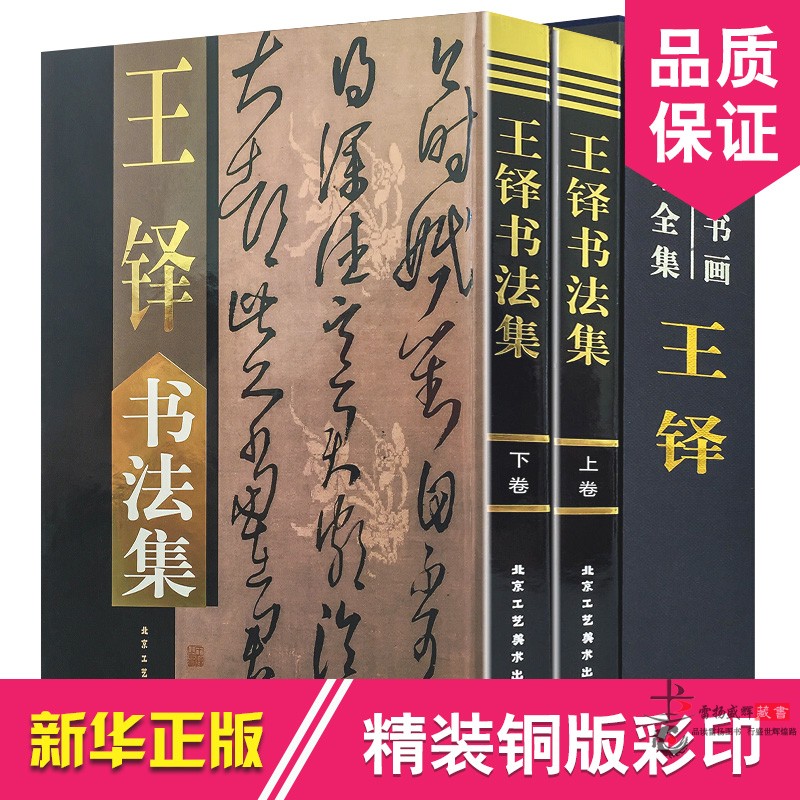 王铎书法集 正版全2册16开精装铜版纸彩印附释文 王铎书法作品集字帖行书帖草书帖 五律诗七律诗 王铎书法大全 中国书画名家全集