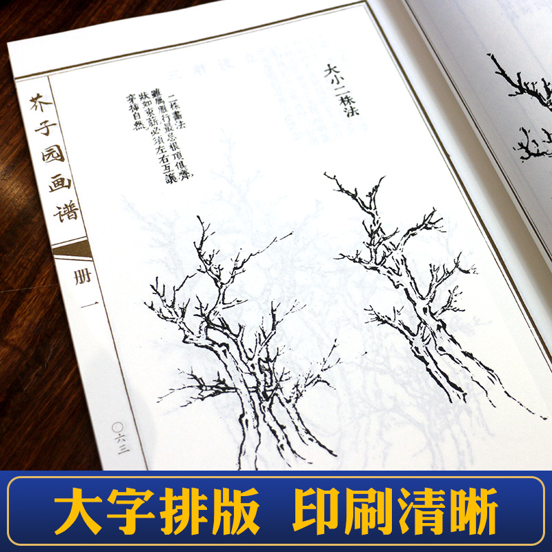 芥子园画谱正版全套16开4册彩色版线装书籍芥子园画传山水中国传世山水画写意花鸟画人物画名画工笔画国画书技法入门教材全集 - 图3