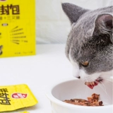 Непослушная мешка с влажным зерном кошачьи консервированные закуски кошачьей кошки замечательные свежие изготовленные котят