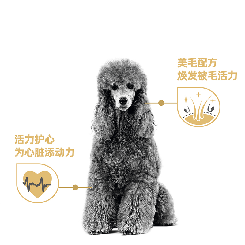 皇家狗粮成犬粮PD30贵宾泰迪专用小型老年犬粮PDA26官方全价狗粮 - 图1