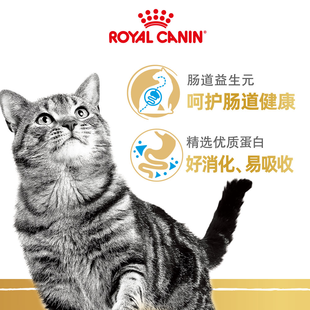 皇家猫粮ASA31美短专用成猫粮2kg虎斑猫美国短毛猫官方授权旗舰店-图1