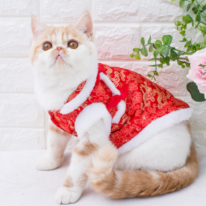 猫咪衣服宠物新年棉衣