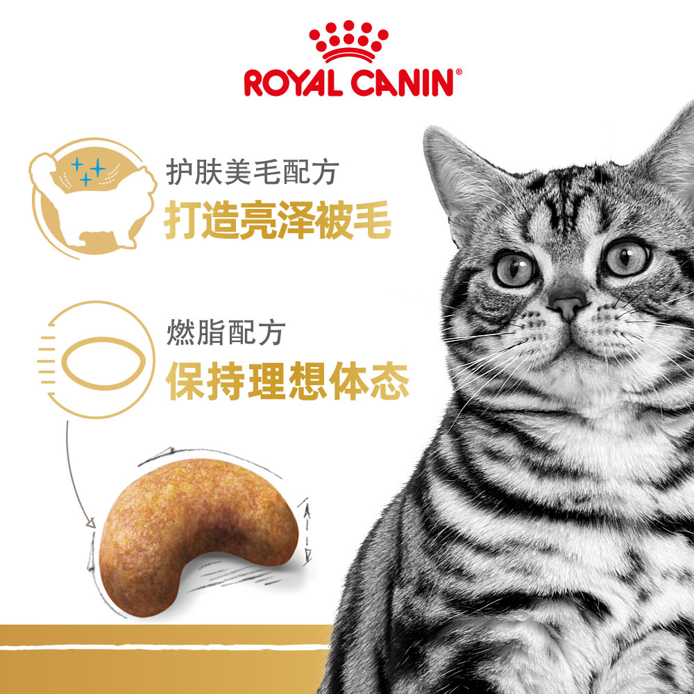 皇家猫粮ASA31美短专用成猫粮2kg虎斑猫美国短毛猫官方授权旗舰店-图2