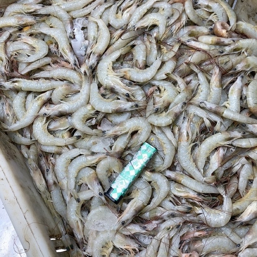 大个头羊毛虾 冬季货5斤,淘宝优惠券,粉丝福利购,淘宝优惠卷